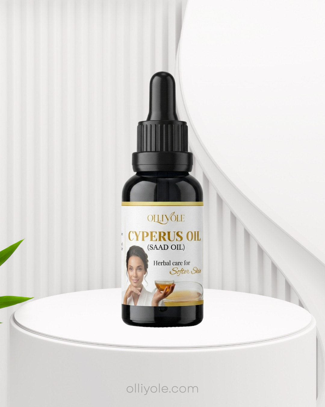 Cyperus Serum (4)
